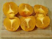 İki Malzemeli Puding