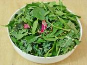 Yoğurtlu Ot Kavurması