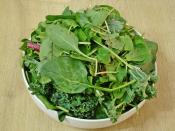 Yumurtalı Ot Kavurması