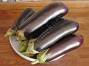 Buzlukta Közlenmiş Patlıcan Saklama