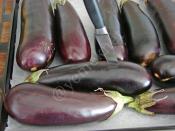 Buzlukta Közlenmiş Patlıcan Saklama