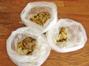 Buzlukta Közlenmiş Patlıcan Saklama