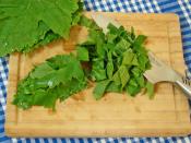 Asma Yaprağı Çorbası