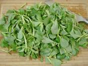 Etli Semizotu Yemeği