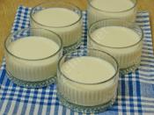 Orman Meyveli Muhallebi