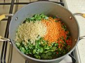 Salçalı Semizotu Çorbası