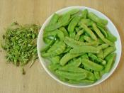 Sultani Bezelye Salatası