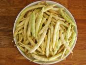 Buzlukta Süt Fasulyesi Saklama Yöntemi