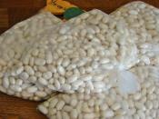 Buzlukta Süt Fasulyesi Saklama Yöntemi