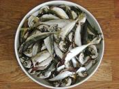 İstavrit Kızartması