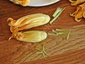 Kabak Çiçeği Dolması