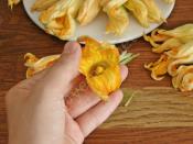 Kabak Çiçeği Dolması