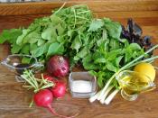 Soğanlı Roka Salatası