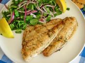 Tavada Çipura Fileto