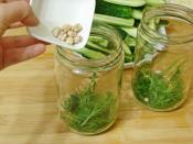 Çubuk Salatalık Turşusu