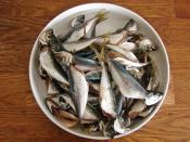 Yumurtalı Balık Kızartması