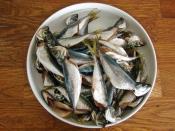 Fırında Kılçıksız İstavrit