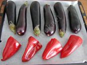 Közlenmiş Patlıcan Salatası Konservesi