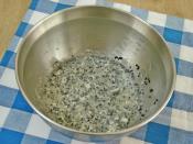 Çörek Otlu Mini Kurabiye