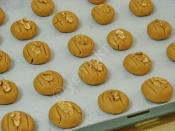 Kavrulmuş Unlu Kurabiye