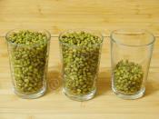 Haşlanmış Maş Fasulyesi