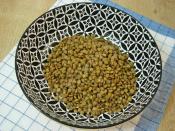 Ayvalı Mercimek Salatası