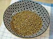 Pancarlı Mercimek Salatası