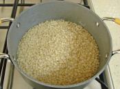 Haşlanmış Buğday