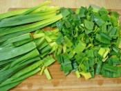 Çiriş Otu Yoğurtlaması