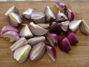 Kırmızı Soğan Mezesi