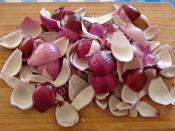 Kırmızı Soğan Mezesi