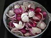 Kırmızı Soğan Mezesi