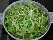 Bulgurlu Semizotu Yemeği