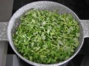 Mercimekli Semizotu Borani