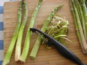 Yumurtalı Kuşkonmaz