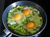 Yumurtalı Kuşkonmaz