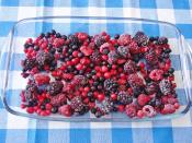 Orman Meyveli Cobbler