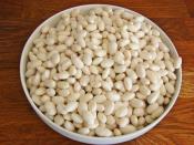 Etli Şeker Fasulyesi Yemeği