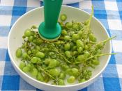 Koruklu Bamya Yemeği