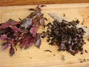 Reyhanlı Bulgur Pilavı