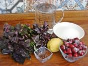 Vişneli Reyhan Şerbeti