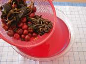 Vişneli Reyhan Şerbeti