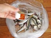 Fırında Mısır Unlu İstavrit