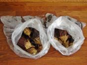 Fırında Patlıcan Közleme