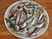 Buzluk İçin Balık Tava