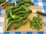 Kornişon Salatalık Turşusu