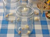 Kornişon Salatalık Turşusu