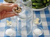 Sirkesiz Limonsuz Kornişon Turşusu