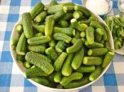 Soğuk Suyla Salatalık Turşusu