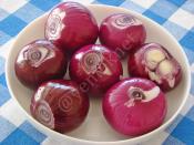 Pickled Red Onion Recipe